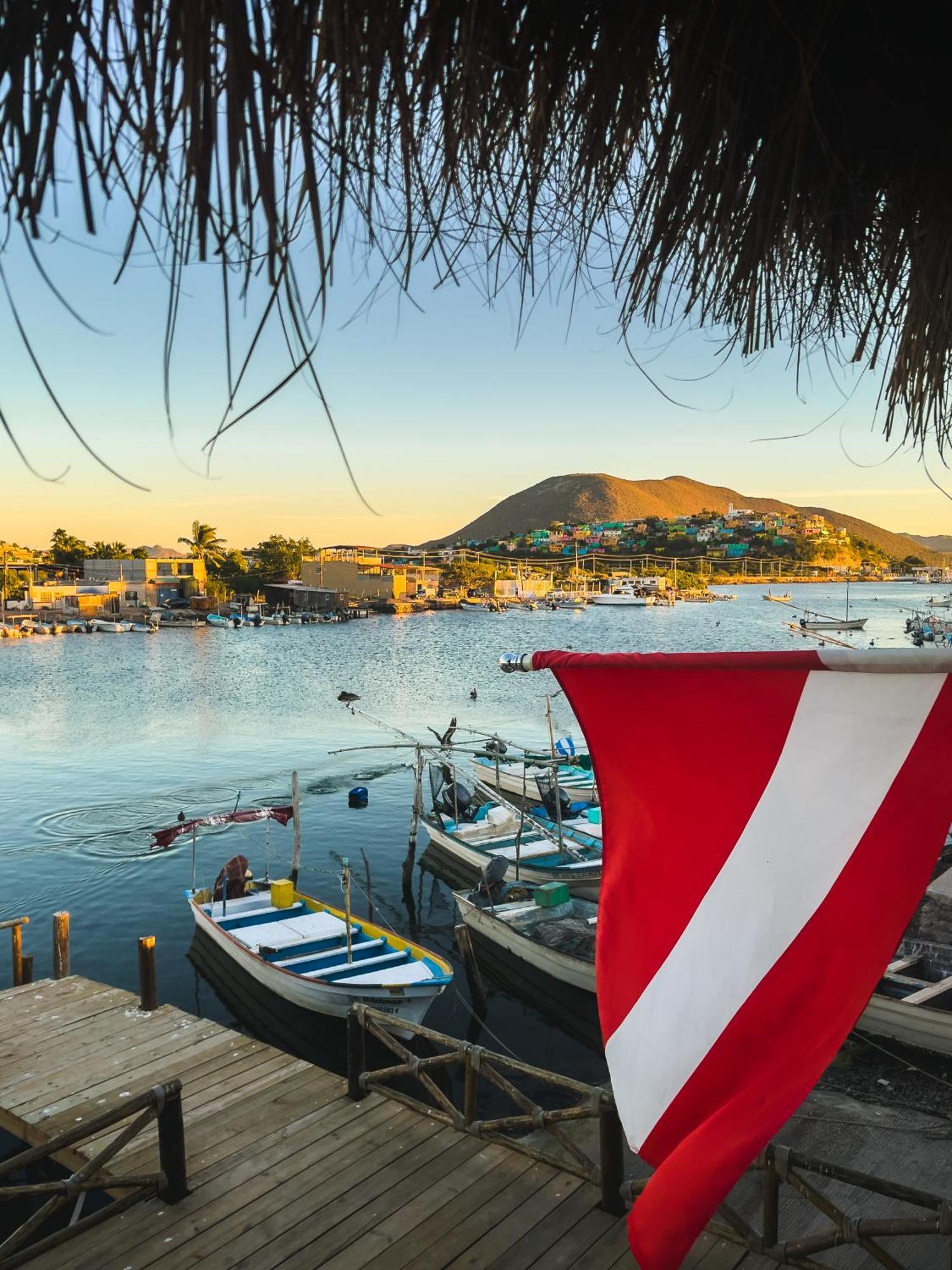 Sealion Dive Center Hotel Topolobampo Bagian luar foto